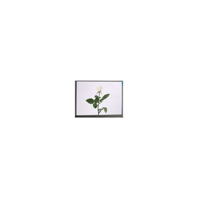 Gwerthu Poeth M057GWV3 R0 5.7 TFT Diwydiannol modfedd 640*480-Sgrin LCD