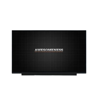 Nv161fhm-ny3 newydd 16.1 modfedd A-Si TFT-LCD