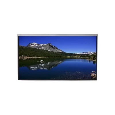 P1010WXF1MB10 10.1 Panel LCD Modfedd 1280*800 Sgrin LCD